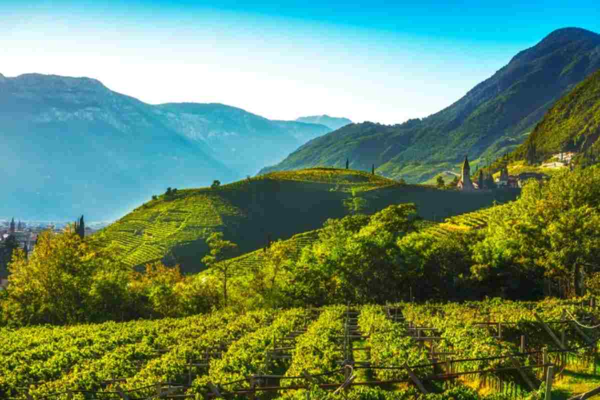 Tra le montagne e i borghi, la Strada del Vino è la passeggiata più bella d'autunno 2 Strada del vino, Alto Adige