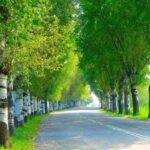 Natura tra Imola e Faenza