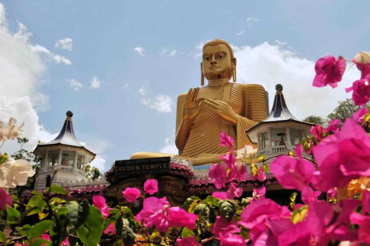 L'isola a goccia: un viaggio tra misticismo, sabbia bianca e mare cristallino 2 Viaggio in Sri Lanka