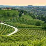 Un percorso unico al mondo