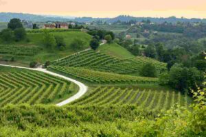 Un percorso unico al mondo: l’Unesco ha scelto proprio questo cammino in Veneto 2 Un percorso unico al mondo