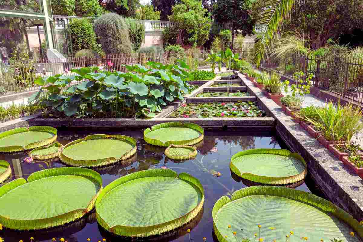 Esiste un giardino botanico che ha più di 500 anni e dista solo 3 ore da Milano: è magnifico 2 Esiste un giardino botanico che ha più di 500 anni