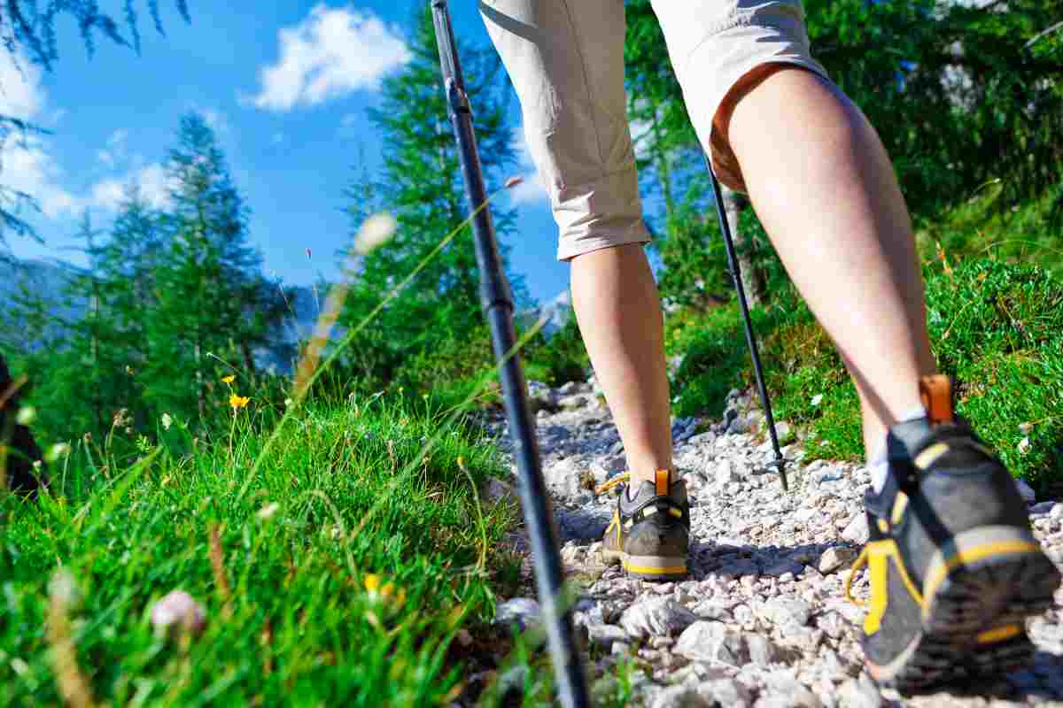 Un percorso unico al mondo: l’Unesco ha scelto proprio questo cammino in Veneto 1 Un percorso unico al mondo