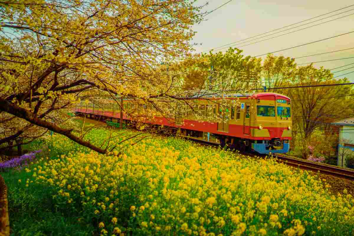 Il gusto di una vita lenta: tutti a bordo di Natura, il treno a vapore più romantico d’Italia 2 tutti a bordo di Natura, il treno a vapore più romantico d’Italia
