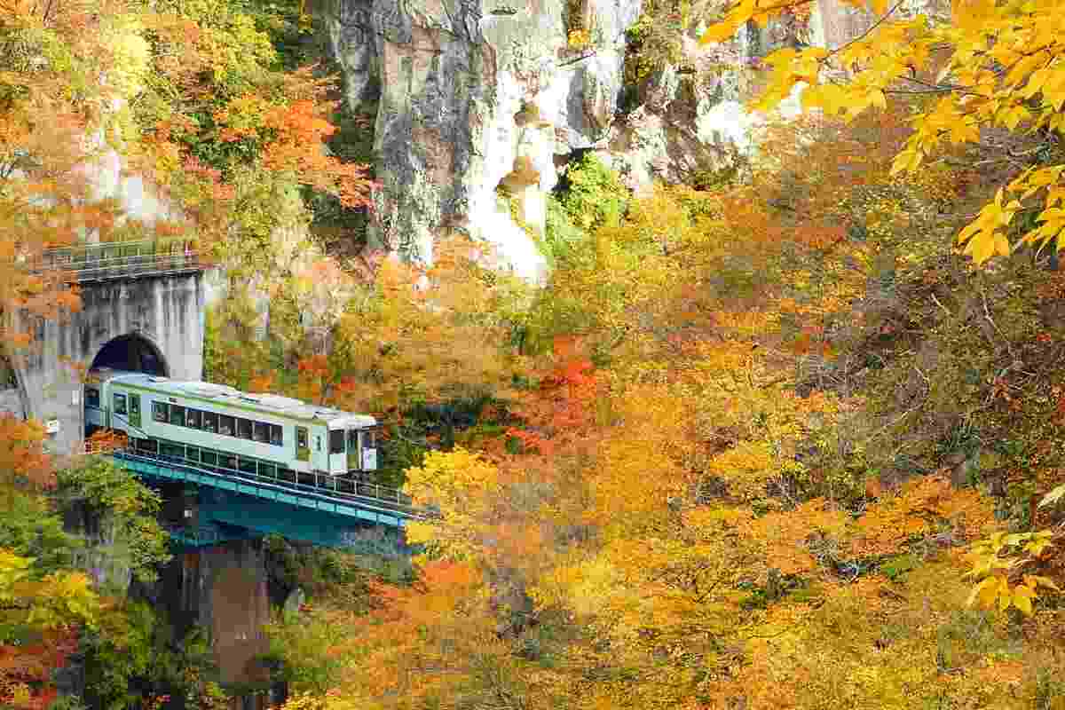 Torna anche in Italia il "treno del foliage": il percorso mozzafiato per ammirare l'autunno 2 treno del foliage 2025