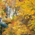 treno del foliage 2025