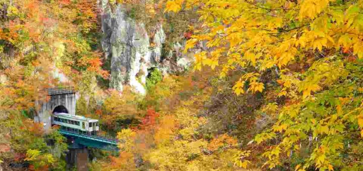 treno del foliage 2025