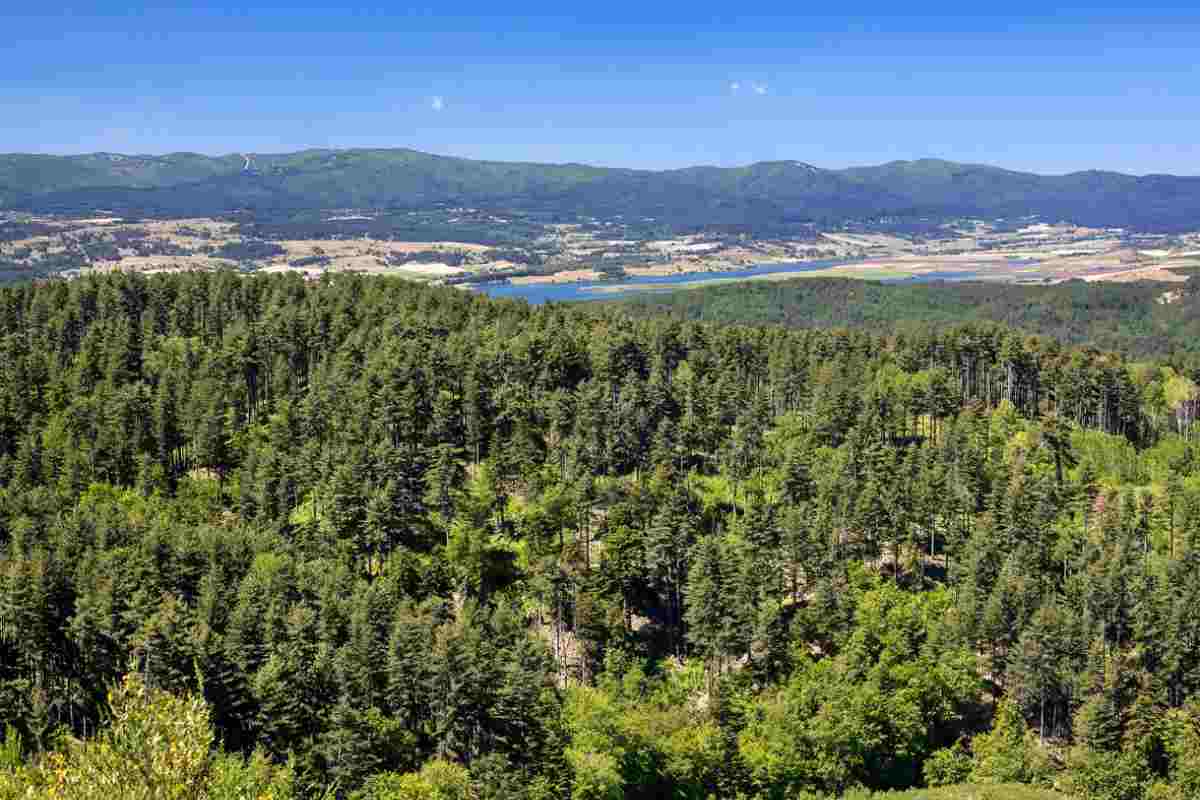 Parco Nazionale della Sila